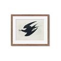 Picture of Vintage Black Sooty Tern _GroupedProduct_Rectangle_Landscape_Framed_Matted_