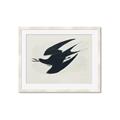 Picture of Vintage Black Sooty Tern _GroupedProduct_Rectangle_Landscape_Framed_Matted_