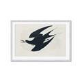 Picture of Vintage Black Sooty Tern _GroupedProduct_Rectangle_Landscape_Framed_Matted_