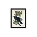 Picture of Raven From Birds of America (1827) _GroupedProduct_Rectangle_Portrait_Framed_Matted_
