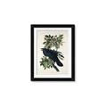 Picture of Raven From Birds of America (1827) _GroupedProduct_Rectangle_Portrait_Framed_Matted_