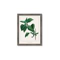 Picture of Nostalgic Green Lilac Leaves _GroupedProduct_Rectangle_Portrait_Framed_Matted_