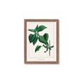 Picture of Nostalgic Green Lilac Leaves _GroupedProduct_Rectangle_Portrait_Framed_Matted_