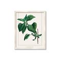 Picture of Nostalgic Green Lilac Leaves _GroupedProduct_Rectangle_Portrait_Framed_Matted_