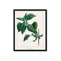 Picture of Nostalgic Green Lilac Leaves _GroupedProduct_Rectangle_Portrait_Framed_Matted_