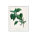 Picture of Nostalgic Green Lilac Leaves _GroupedProduct_Rectangle_Portrait_Framed_Matted_