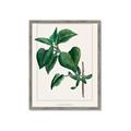 Picture of Nostalgic Green Lilac Leaves _GroupedProduct_Rectangle_Portrait_Framed_Matted_