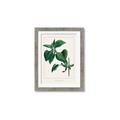 Picture of Nostalgic Green Lilac Leaves _GroupedProduct_Rectangle_Portrait_Framed_Matted_
