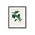 Picture of Nostalgic Green Lilac Leaves _GroupedProduct_Rectangle_Portrait_Framed_Matted_