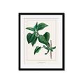 Picture of Nostalgic Green Lilac Leaves _GroupedProduct_Rectangle_Portrait_Framed_Matted_