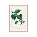 Picture of Nostalgic Green Lilac Leaves _GroupedProduct_Rectangle_Portrait_Framed_Matted_