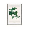 Picture of Nostalgic Green Lilac Leaves _GroupedProduct_Rectangle_Portrait_Framed_Matted_