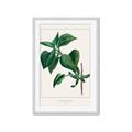 Picture of Nostalgic Green Lilac Leaves _GroupedProduct_Rectangle_Portrait_Framed_Matted_