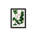 Picture of Nostalgic Green Murgrona Leaves _GroupedProduct_Rectangle_Portrait_Framed_Matted_