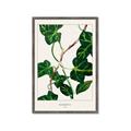 Picture of Nostalgic Green Murgrona Leaves _GroupedProduct_Rectangle_Portrait_Framed_Matted_