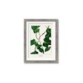 Picture of Nostalgic Green Murgrona Leaves _GroupedProduct_Rectangle_Portrait_Framed_Matted_