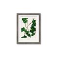 Picture of Nostalgic Green Murgrona Leaves _GroupedProduct_Rectangle_Portrait_Framed_Matted_
