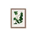 Picture of Nostalgic Green Murgrona Leaves _GroupedProduct_Rectangle_Portrait_Framed_Matted_