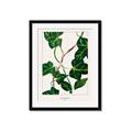 Picture of Nostalgic Green Murgrona Leaves _GroupedProduct_Rectangle_Portrait_Framed_Matted_
