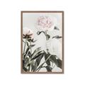 Picture of Romantic Blur Peony V _GroupedProduct_Rectangle_Portrait_Photography _GroupedProduct_Rectangle_Portrait_Framed_Matted_
