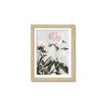 Picture of Romantic Blur Peony V _GroupedProduct_Rectangle_Portrait_Photography _GroupedProduct_Rectangle_Portrait_Framed_Matted_