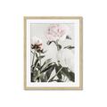 Picture of Romantic Blur Peony V _GroupedProduct_Rectangle_Portrait_Photography _GroupedProduct_Rectangle_Portrait_Framed_Matted_