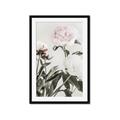 Picture of Romantic Blur Peony V _GroupedProduct_Rectangle_Portrait_Photography _GroupedProduct_Rectangle_Portrait_Framed_Matted_