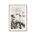 Picture of Romantic Blur Peony V _GroupedProduct_Rectangle_Portrait_Photography _GroupedProduct_Rectangle_Portrait_Framed_Matted_