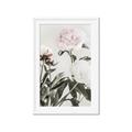Picture of Romantic Blur Peony V _GroupedProduct_Rectangle_Portrait_Photography _GroupedProduct_Rectangle_Portrait_Framed_Matted_