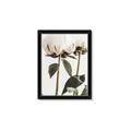 Picture of Romantic Blur Peony IV _GroupedProduct_Rectangle_Portrait_Photography _GroupedProduct_Rectangle_Portrait_Framed_Matted_
