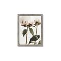 Picture of Romantic Blur Peony IV _GroupedProduct_Rectangle_Portrait_Photography _GroupedProduct_Rectangle_Portrait_Framed_Matted_