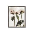 Picture of Romantic Blur Peony IV _GroupedProduct_Rectangle_Portrait_Photography _GroupedProduct_Rectangle_Portrait_Framed_Matted_