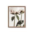 Picture of Romantic Blur Peony IV _GroupedProduct_Rectangle_Portrait_Photography _GroupedProduct_Rectangle_Portrait_Framed_Matted_