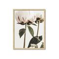 Picture of Romantic Blur Peony IV _GroupedProduct_Rectangle_Portrait_Photography _GroupedProduct_Rectangle_Portrait_Framed_Matted_