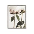 Picture of Romantic Blur Peony IV _GroupedProduct_Rectangle_Portrait_Photography _GroupedProduct_Rectangle_Portrait_Framed_Matted_