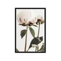 Picture of Romantic Blur Peony IV _GroupedProduct_Rectangle_Portrait_Photography _GroupedProduct_Rectangle_Portrait_Framed_Matted_