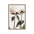 Picture of Romantic Blur Peony IV _GroupedProduct_Rectangle_Portrait_Photography _GroupedProduct_Rectangle_Portrait_Framed_Matted_