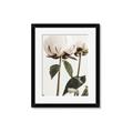Picture of Romantic Blur Peony IV _GroupedProduct_Rectangle_Portrait_Photography _GroupedProduct_Rectangle_Portrait_Framed_Matted_