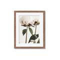 Picture of Romantic Blur Peony IV _GroupedProduct_Rectangle_Portrait_Photography _GroupedProduct_Rectangle_Portrait_Framed_Matted_