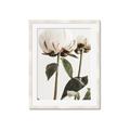 Picture of Romantic Blur Peony IV _GroupedProduct_Rectangle_Portrait_Photography _GroupedProduct_Rectangle_Portrait_Framed_Matted_