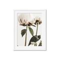 Picture of Romantic Blur Peony IV _GroupedProduct_Rectangle_Portrait_Photography _GroupedProduct_Rectangle_Portrait_Framed_Matted_