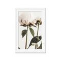 Picture of Romantic Blur Peony IV _GroupedProduct_Rectangle_Portrait_Photography _GroupedProduct_Rectangle_Portrait_Framed_Matted_