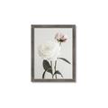 Picture of Romantic Blur Peony III _GroupedProduct_Rectangle_Portrait_Photography _GroupedProduct_Rectangle_Portrait_Framed_Matted_
