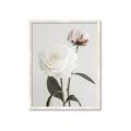 Picture of Romantic Blur Peony III _GroupedProduct_Rectangle_Portrait_Photography _GroupedProduct_Rectangle_Portrait_Framed_Matted_