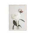 Picture of Romantic Blur Peony III _GroupedProduct_Rectangle_Portrait_Photography _GroupedProduct_Rectangle_Portrait_Framed_Matted_