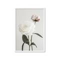Picture of Romantic Blur Peony III _GroupedProduct_Rectangle_Portrait_Photography _GroupedProduct_Rectangle_Portrait_Framed_Matted_