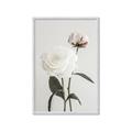 Picture of Romantic Blur Peony III _GroupedProduct_Rectangle_Portrait_Photography _GroupedProduct_Rectangle_Portrait_Framed_Matted_