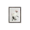 Picture of Romantic Blur Peony III _GroupedProduct_Rectangle_Portrait_Photography _GroupedProduct_Rectangle_Portrait_Framed_Matted_