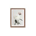 Picture of Romantic Blur Peony III _GroupedProduct_Rectangle_Portrait_Photography _GroupedProduct_Rectangle_Portrait_Framed_Matted_