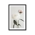 Picture of Romantic Blur Peony III _GroupedProduct_Rectangle_Portrait_Photography _GroupedProduct_Rectangle_Portrait_Framed_Matted_